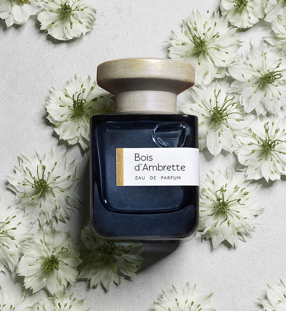 Bois d'Ambrette: A New Beginning