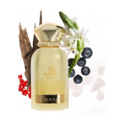 Ahmed Al Maghribi Ignite Rose