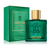 Roberto Cavalli Uomo Verde Assoluto