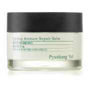 Pyunkang Yul Calming Moisture Repair Balm
