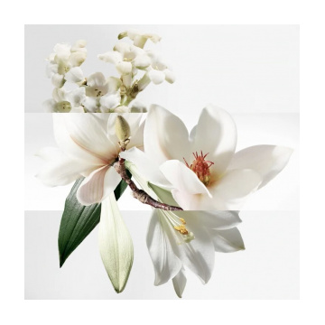 Hermes Un Jardin Sur La Lagune Tester