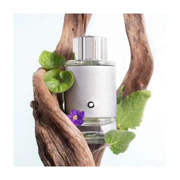 Mont Blanc Explorer Platinum