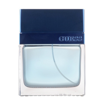 Guess Seductive Homme Blue