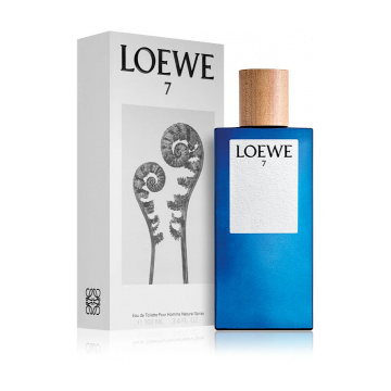 Loewe 7