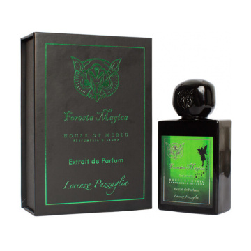 Lorenzo Pazzaglia Foresta Magica